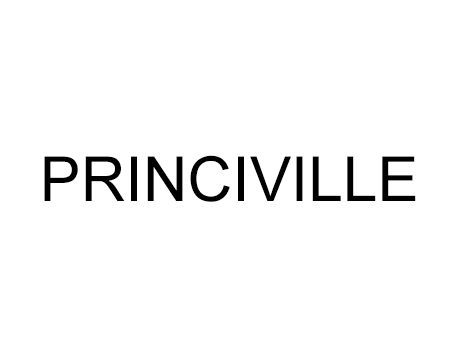 Princiville Transportes